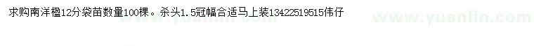 求購12公分南洋楹