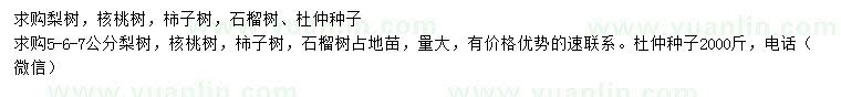 求購梨樹、核桃樹、柿子樹等