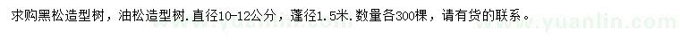 求購直徑10-12公分黑松、油松