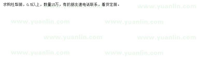 求購0.5公分以上杜梨苗