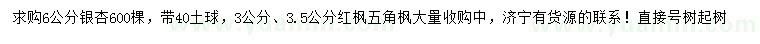 求購6公分銀杏、3、3.5公分紅楓