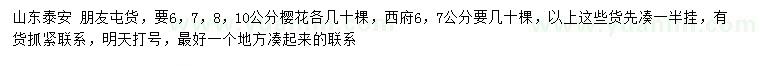 求購6、7、8、10公分櫻花、6、7公分西府海棠