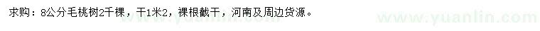 求購8公分毛桃樹