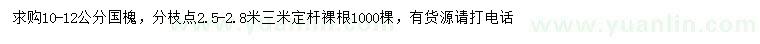 求購10-12公分國槐