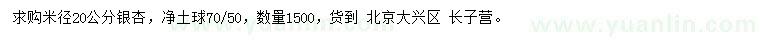 求購米徑20公分銀杏
