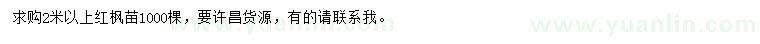 求購2米以上紅楓苗