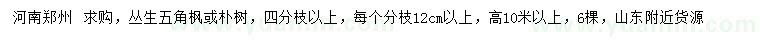 求購高10米以上叢生五角楓、樸樹