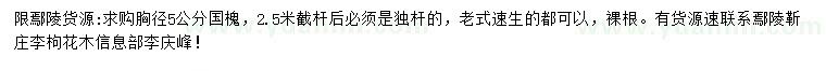 求購(gòu)胸徑5公分國(guó)槐