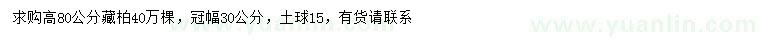 求購高80公分藏柏