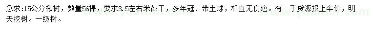 求購15公分楸樹