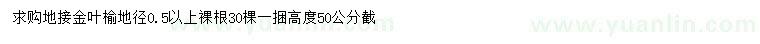求購(gòu)地徑0.5公分以上金葉榆