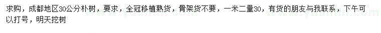 求購1.2米量30公分樸樹
