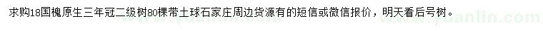 求購18公分國槐
