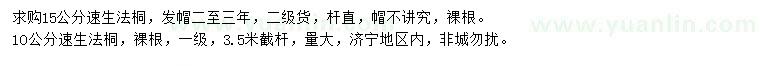 求購10、15公分速生法桐