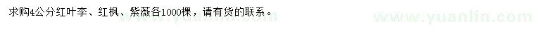 求購紅葉李、紅楓、紫薇