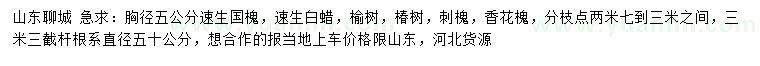 求購速生國槐、速生白蠟、榆樹等