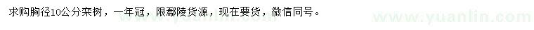 求購胸徑10公分欒樹