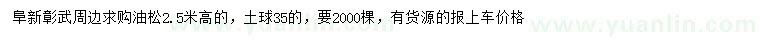 求購高2.5米油松