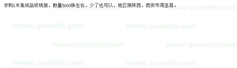 求購高1米核桃苗