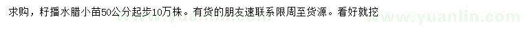 求購(gòu)50公分起步籽播水臘小苗