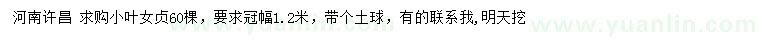 求購冠幅1.2米小葉女貞
