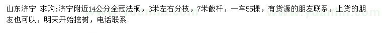 求購14公分全冠法桐