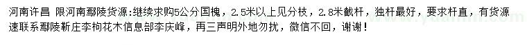 求購(gòu)5公分國(guó)槐
