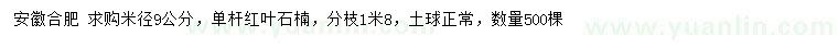 求購米徑9公分單桿紅葉石楠
