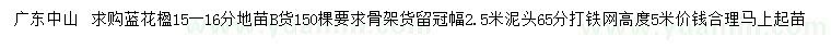 求購(gòu)15-16公分藍(lán)花楹