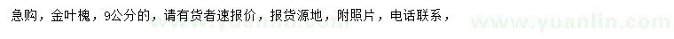 求購(gòu)9公分金葉槐