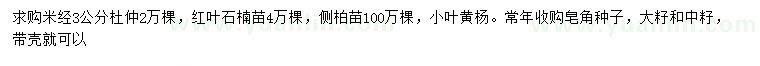 求購(gòu)杜仲、紅葉石楠苗、側(cè)柏苗等
