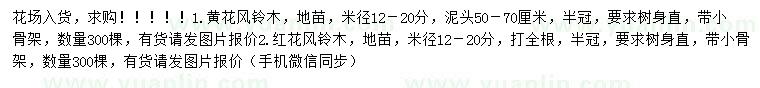 求購12-20公分黃花風(fēng)鈴木、15-25公分紅花風(fēng)鈴木