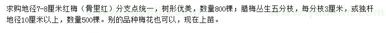 求購地徑7-8公分紅梅（骨里紅）、叢生臘梅
