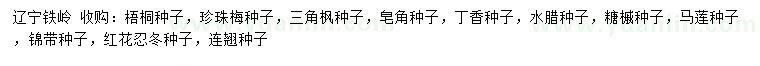 求購(gòu)梧桐種子、珍珠梅種子、三角楓種子等