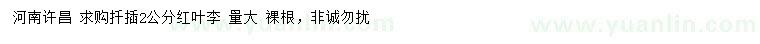求購2公分紅葉李