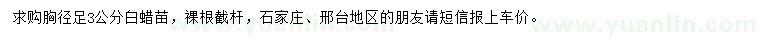 求購胸徑足3公分白蠟苗