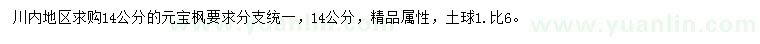 求購14公分元寶楓