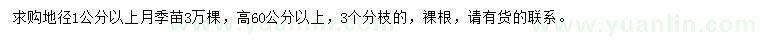 求購(gòu)地徑1公分以上月季苗