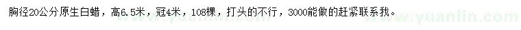 求購胸徑20公分白蠟