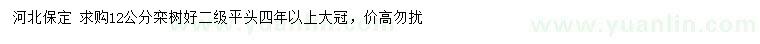 求購(gòu)12公分欒樹(shù)