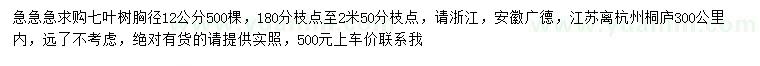 求購胸徑12公分七葉樹精品樹