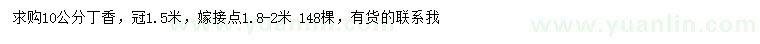 求購10公分丁香