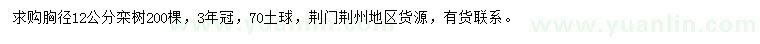 求購胸徑12公分欒樹