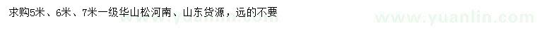 求購(gòu)5、6、7米華山松