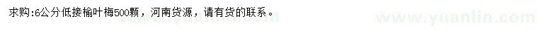 求購6公分低接榆葉梅