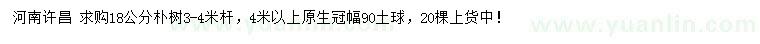 求購(gòu)18公分樸樹(shù)