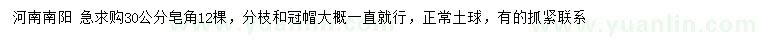 求購30公分皂角