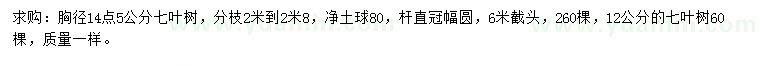 求購胸徑12、14.5公分七葉樹