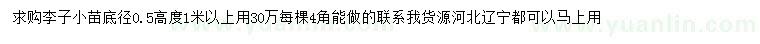 求購地徑0.5公分李子小苗