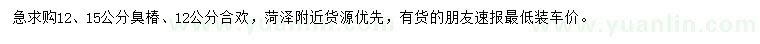 求購12、15公分臭椿、12公分合歡